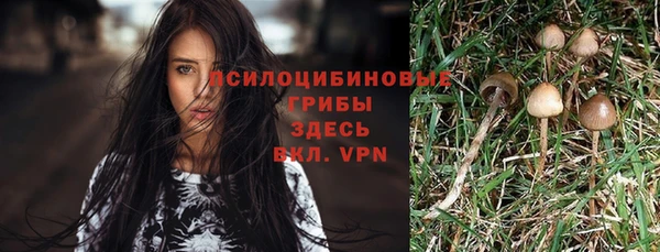 круглые Алзамай