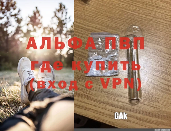 крисы Алексин
