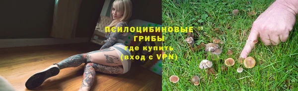 гидропоника Абинск