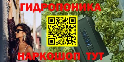 сатива Краснодар