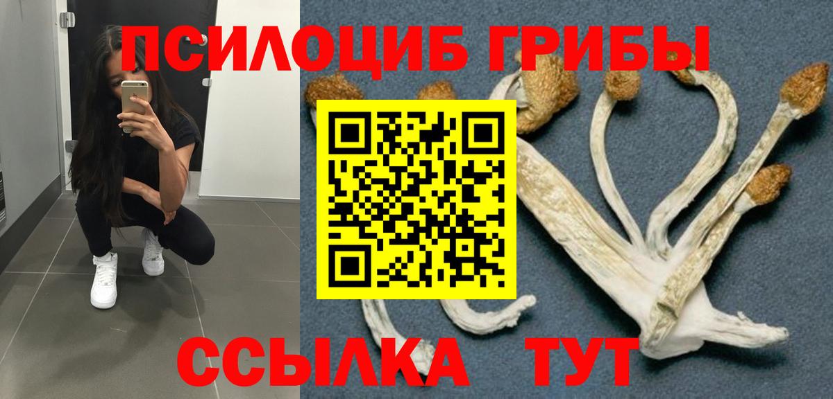 Галлюциногенные грибы MAGIC MUSHROOMS Железноводск