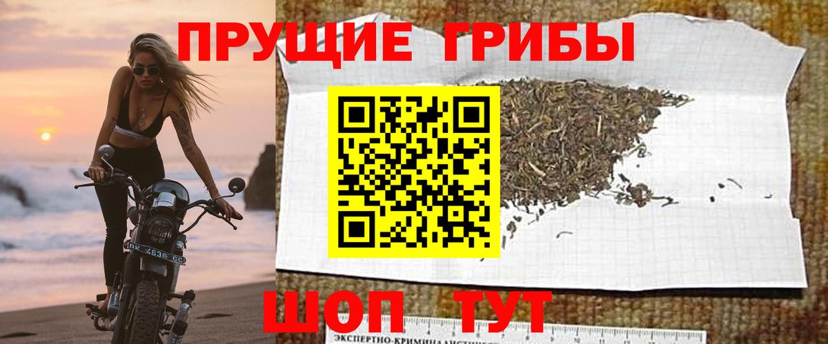 Железноводск  Псилоцибиновые грибы Psilocybine cubensis  Галлюциногенные грибы Magic Shrooms  купить наркотики сайты  Вход с VPN 